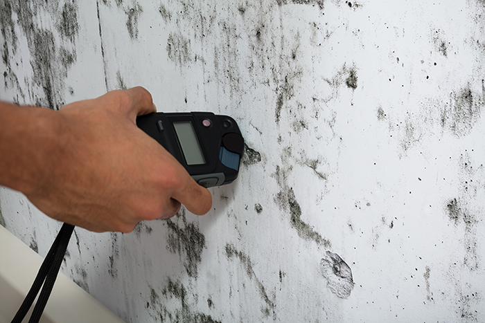 Moisture meter being used to test the dampness of a wall as part of our home inspection services